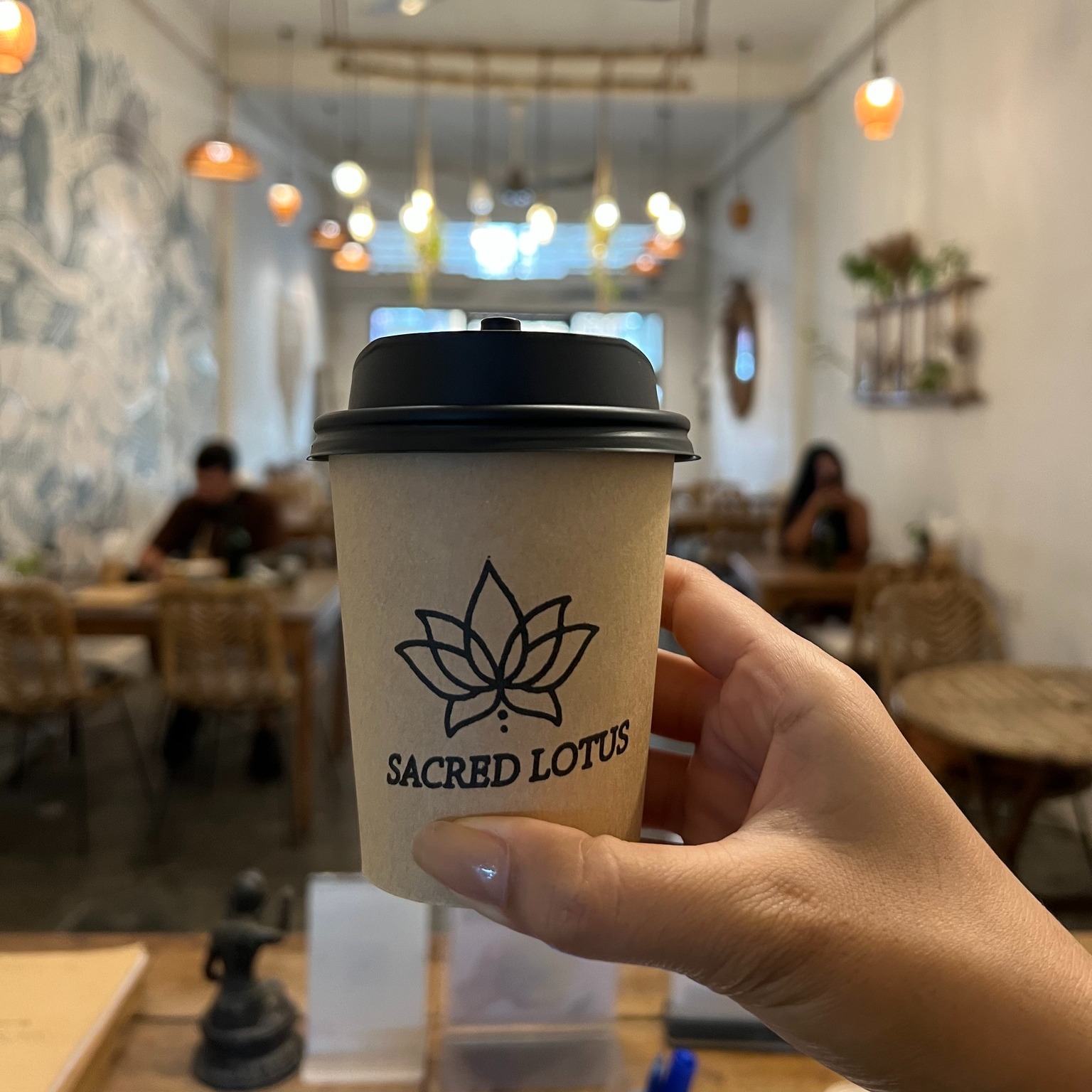 Sacred Lotus